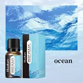 Ocean