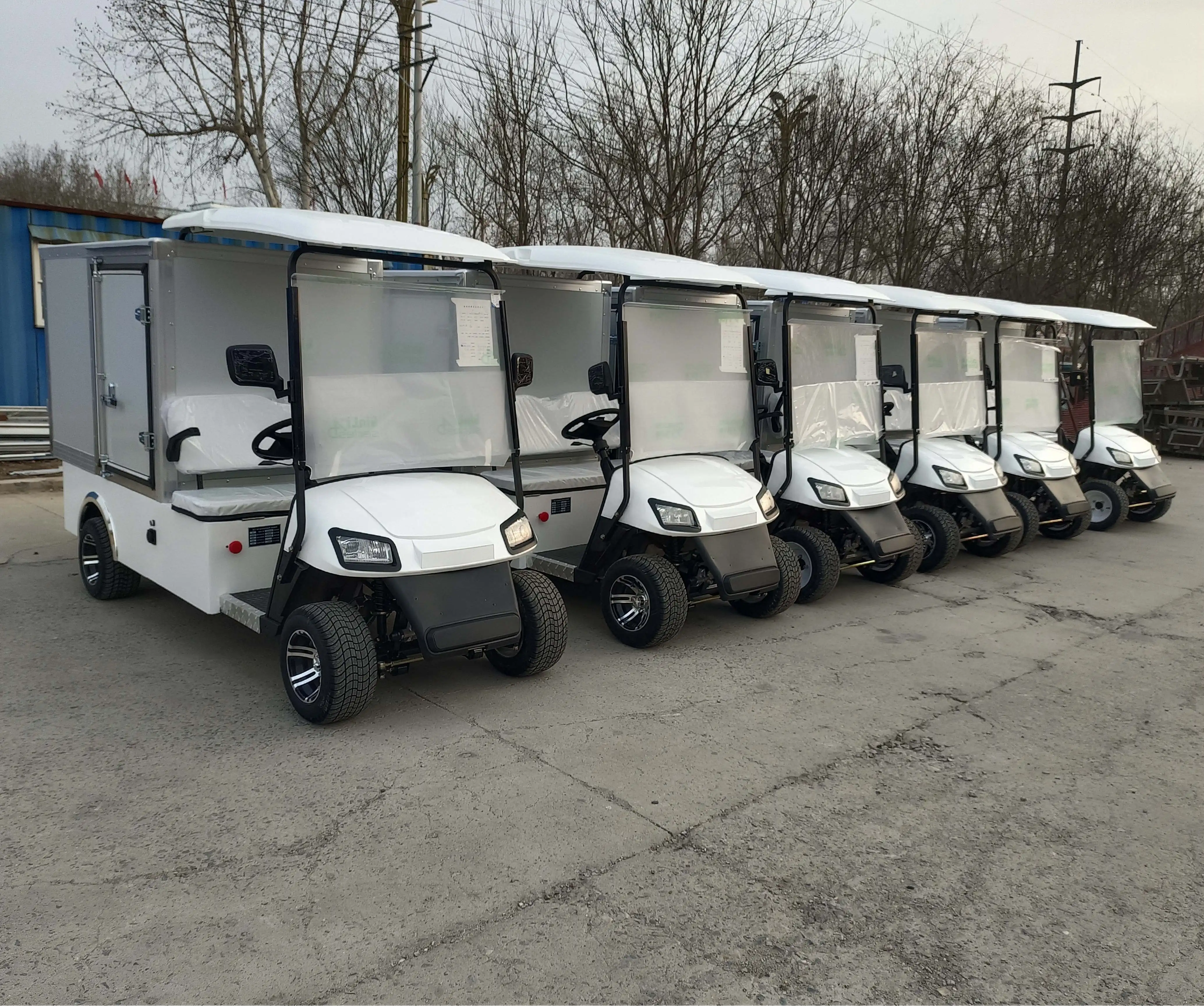 2025年新型カスタマイズ電動ゴルフカート、密閉式収納ボックス付き