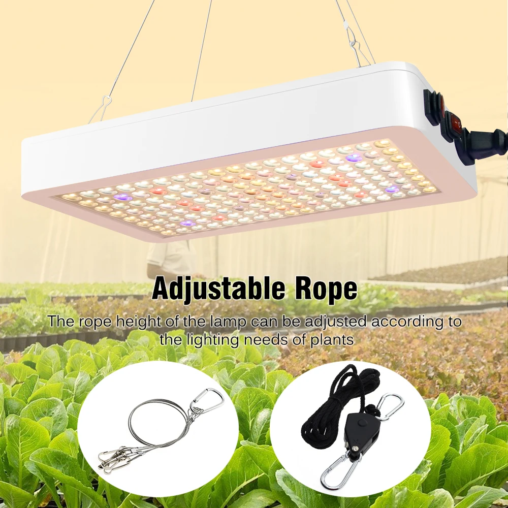 Slide image b8fc9be6d3d146b29726e3e16b0da5ea