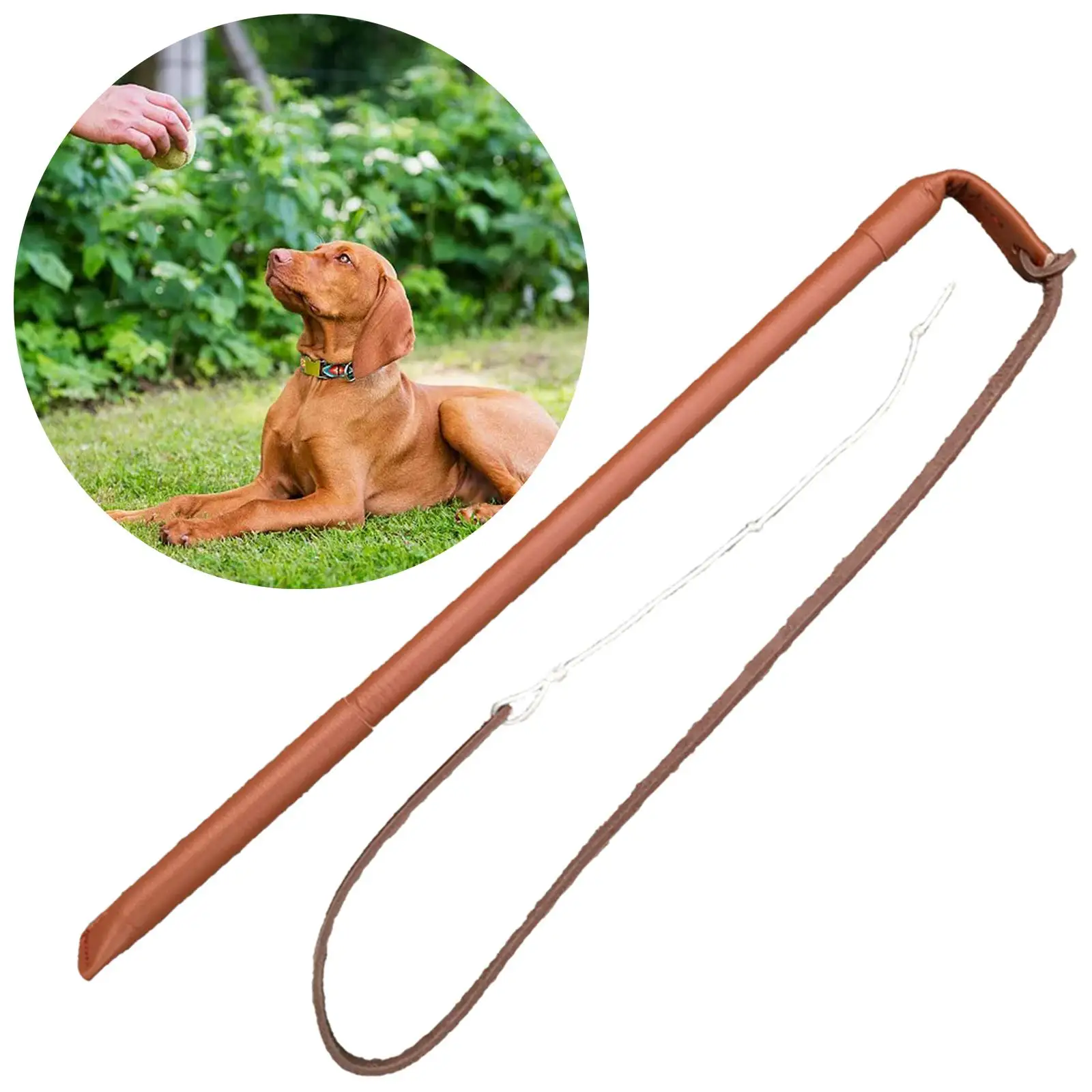 Leather Professional Dog Training Agitation Whip For Medium Large Dogs
