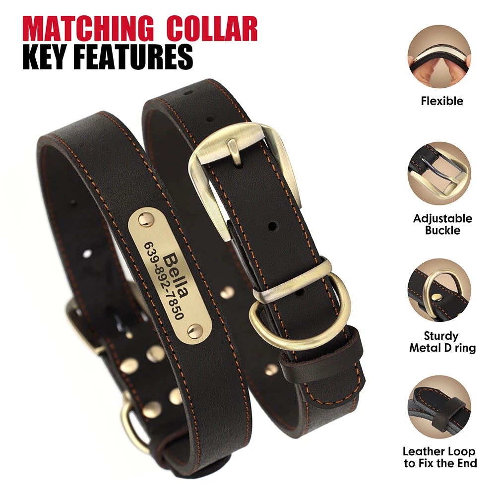 Black Collar