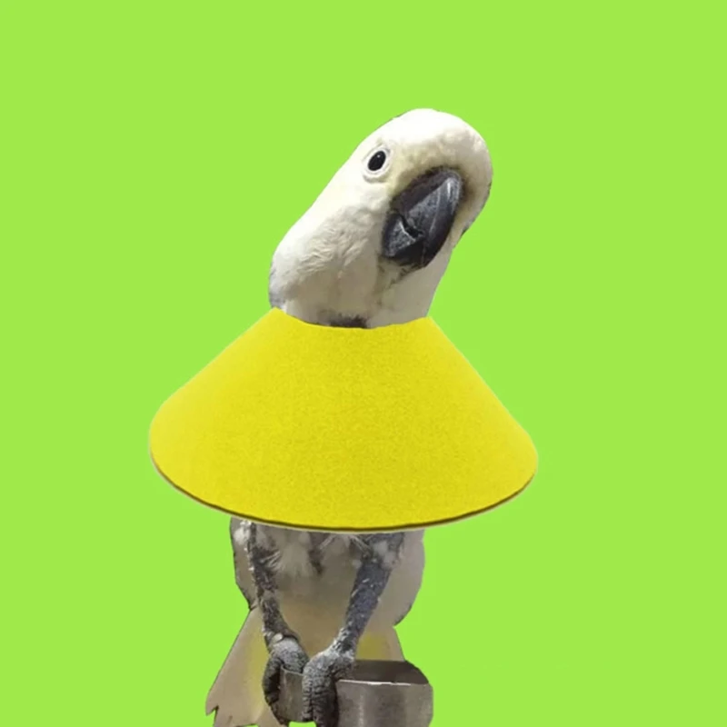 Vogelkegelkraag om te plukken - papegaai anti-bijt Elizabethaanse kraag, zachte beschermende kegelkraag, zachte Elizabethaanse kraag voor valkparkiet, grasparkiet