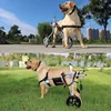 Silla de ruedas grande para perros, entrenamiento para la parálisis por espondilitis