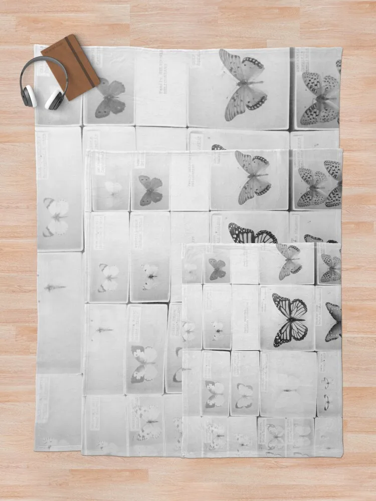 Lepidopterology ���� ���, ���Ÿ� ����Ʈ ���