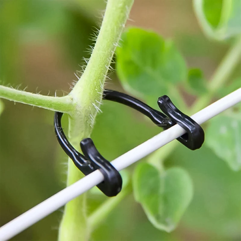 

50PCS Garden Plants Vines Fixed Clips Tied Buckles Lashing Hook For Kiwi Grape Cucumber Tomato Stems Fastener Gadgets Grafting