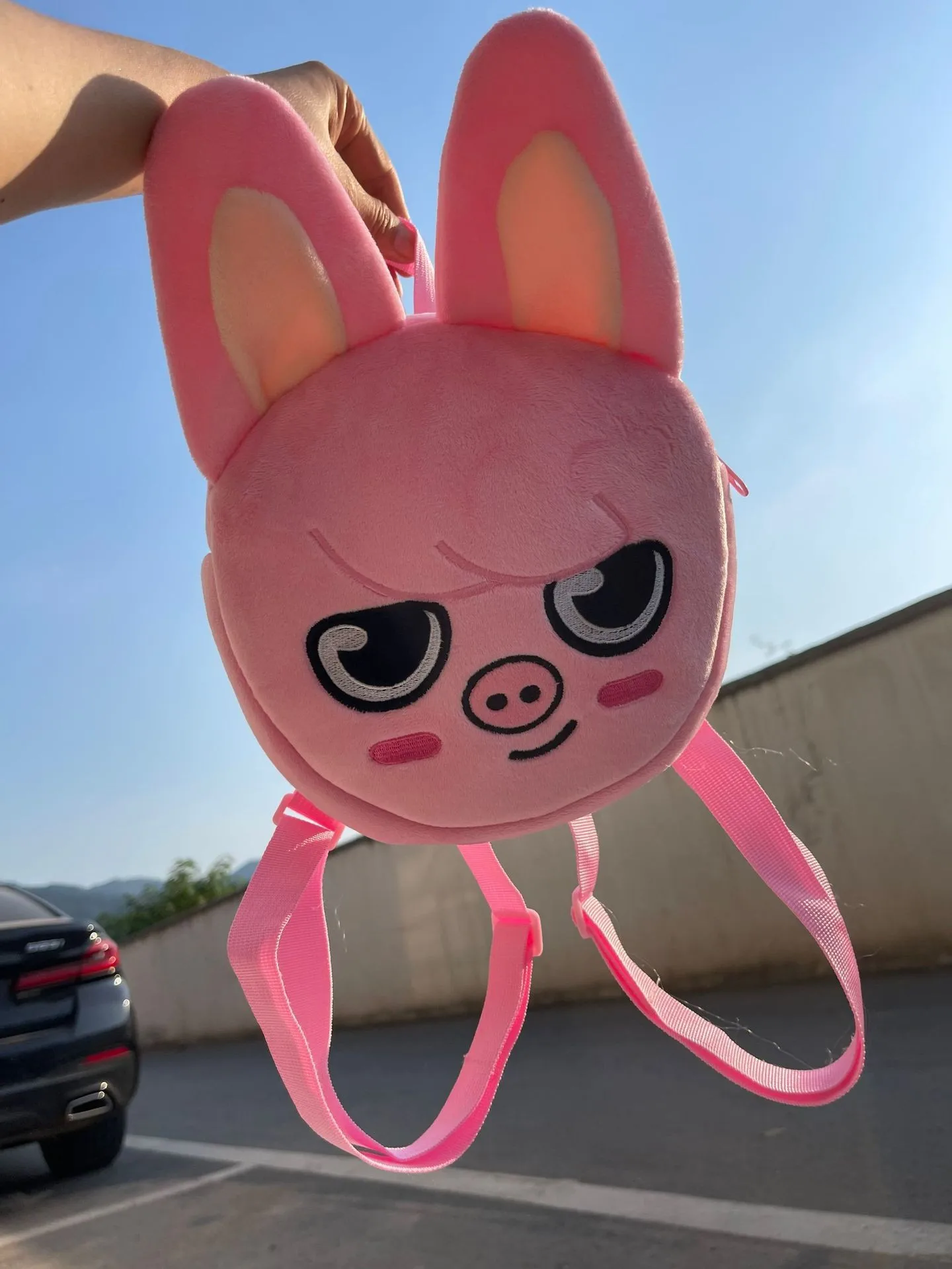 Cute Kawaii Cartoon Backpack with Large Capacity Storage - Perfect Student Gift