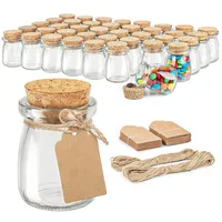Decorative Glass Bottle with Cork Stopper 100ml Clear Glass Bottle with Cork Stoppers Pudding Jars 3.4oz Mini Yogurt Mason Jar 1