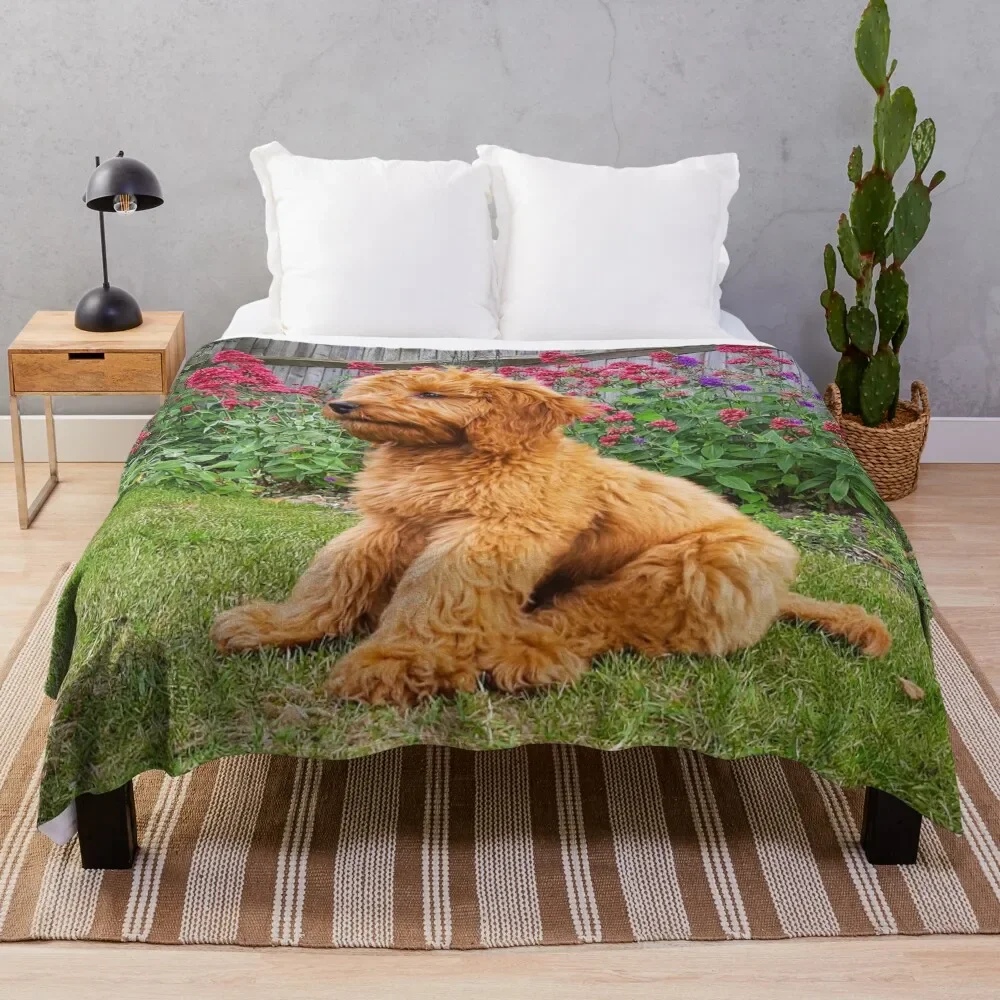 

Красное декоративное одеяло для дивана, кровати, декоративные диваны