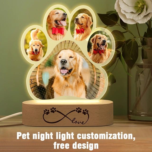 Does Dog Need Light At Night