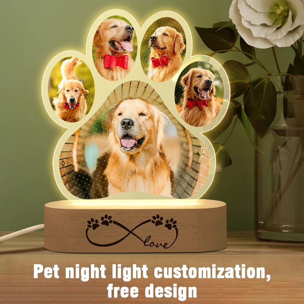 Do Dogs Need Light At Night