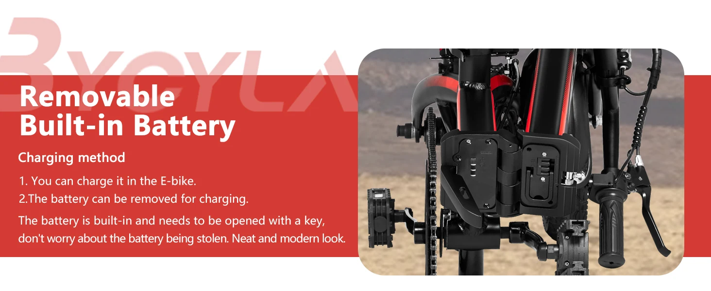 folding electric bike