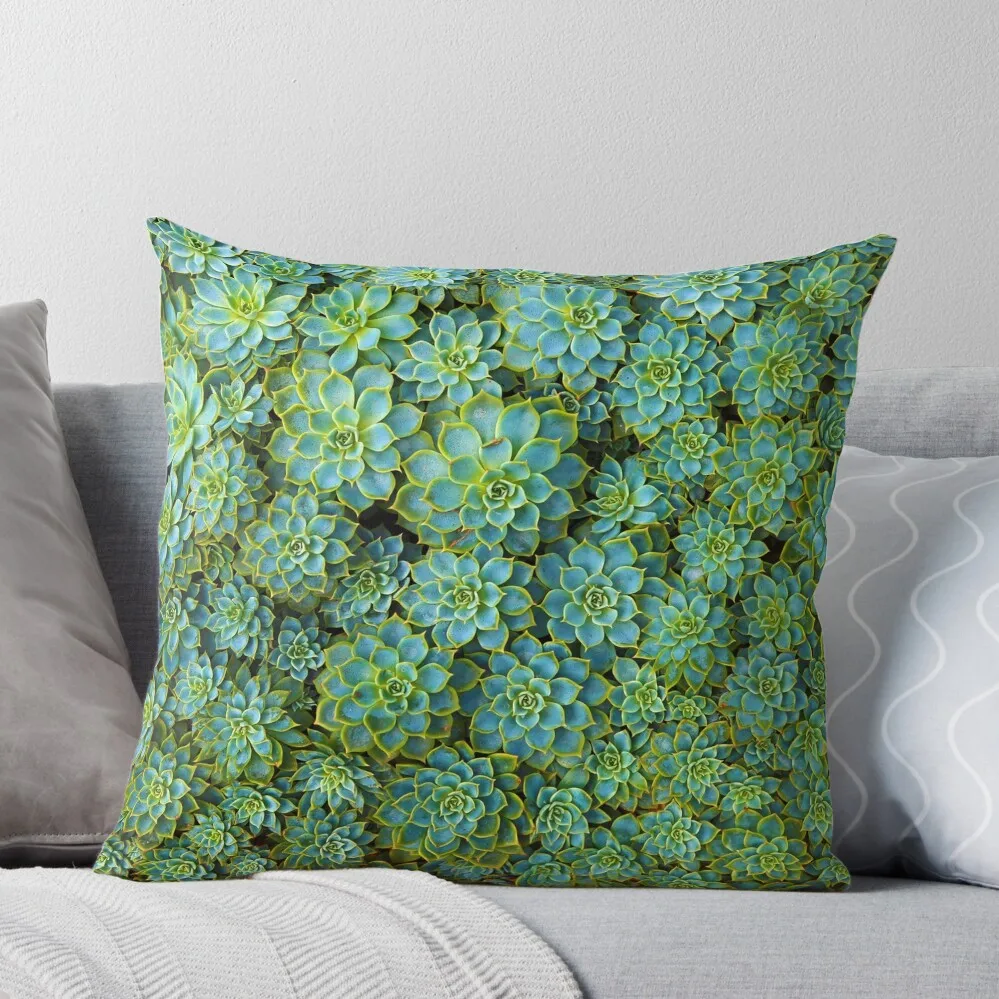 Green Succulent Throw Pillow Pillows Aesthetic Pillowcase Cushion