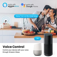 Tuya 16A Brazil Standard WiFi Smart Plug with Power Monitor, Smart Life APP Smart Socket Voice Work for Google Home Alexa 1pc - Image 3