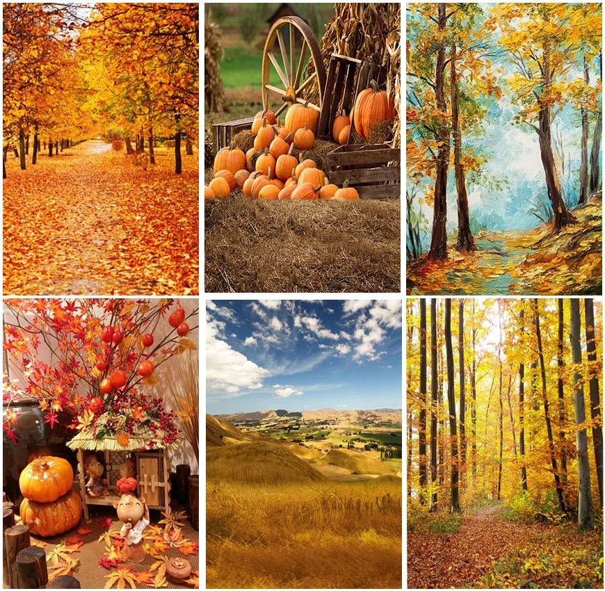 

Фоны для фотосъемки на осеннюю тему с изображением опущенных листьев и звёзд тыквенного леса детский портрет вертикальные фоны товары для фотосъемки