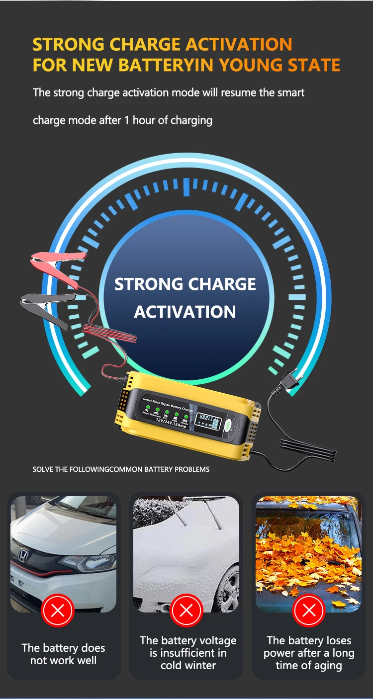 12V 12A 24V 6A Pulse Repair Charger with LCD Display, Motorcycle & Car Battery C