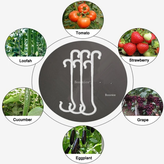 Paradicsom Tartó J Horgok Növénytámogató Zöldségklipek, Hogy Megakadályozzák A Gyümölcscsoportját, Megcsípje Vagy Leesjen Csathorog - Image 2