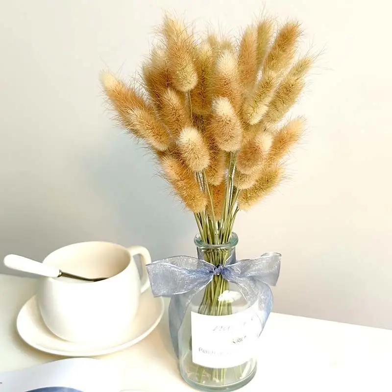 

Natural Dried Rabbit Tail Grass Real Bouquet Home Furnishings Small Fresh Living Room Bedroom Decoration Wedding Ornaments