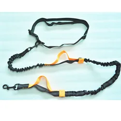 Reflective Double Elastic Retractable Dog Leash - Wholesale Pet Supplies (Orange)