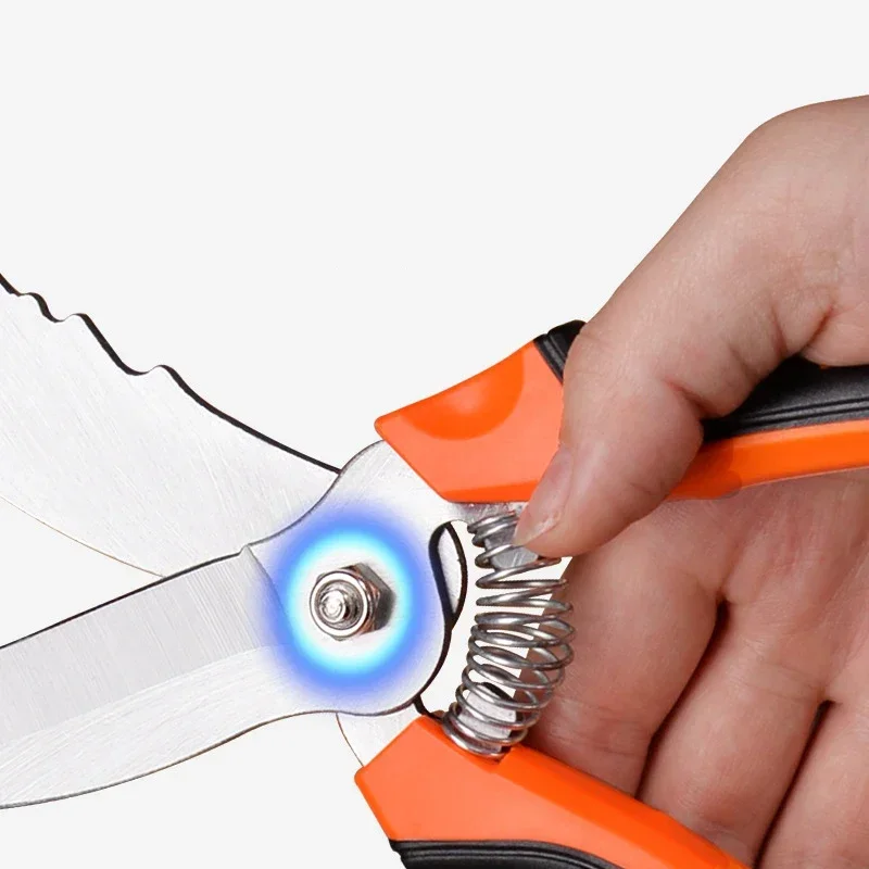 Spring Design Two-Color Plastic Handle Garlic Scissors Big End Scissors Vegetable Trimming Onion Shears Cooking Kitchen Cutter 5