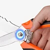 Spring Design Two-Color Plastic Handle Garlic Scissors Big End Scissors Vegetable Trimming Onion Shears Cooking Kitchen Cutter 5