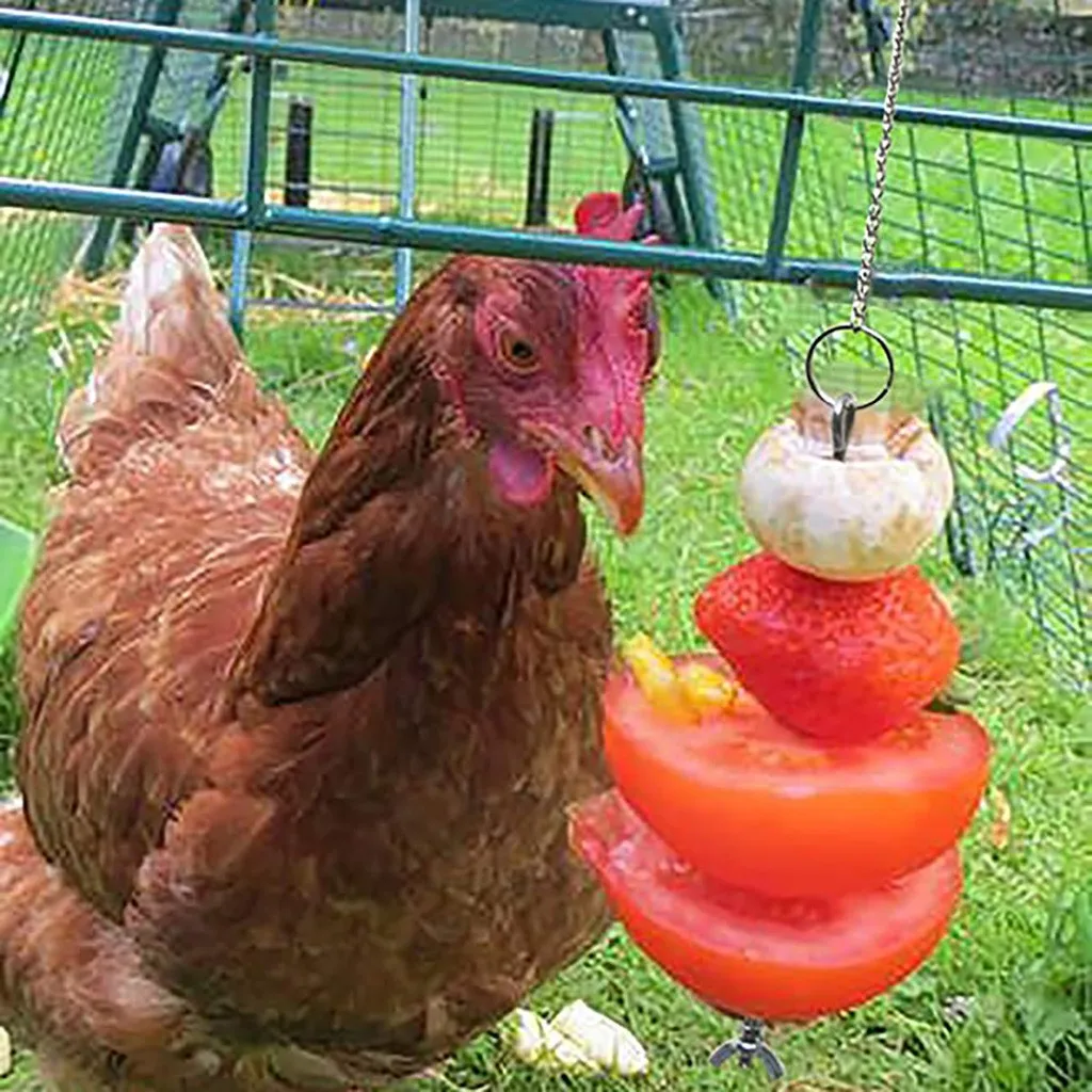 Stainless Steel Bird Food Holder 3