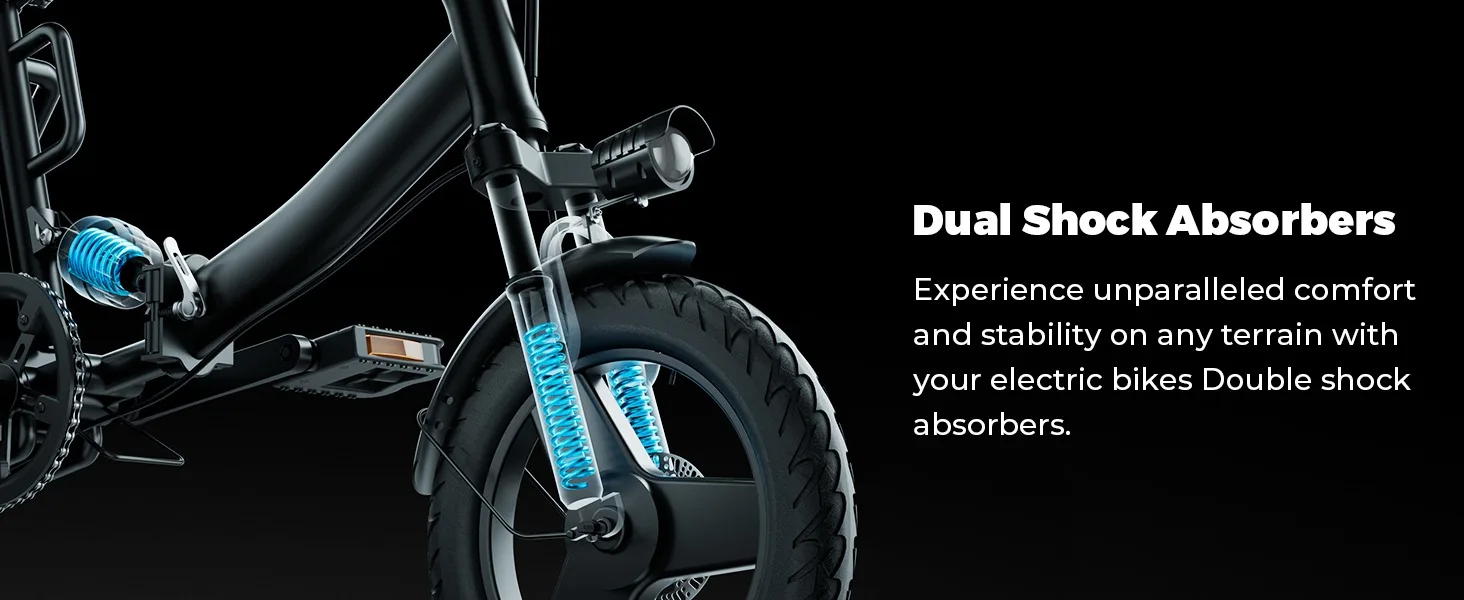 Dual shock absorbers