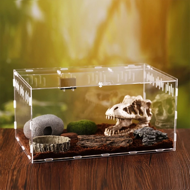 Reptiles Feeding Box Breeding Case for Mini Lizards etc.