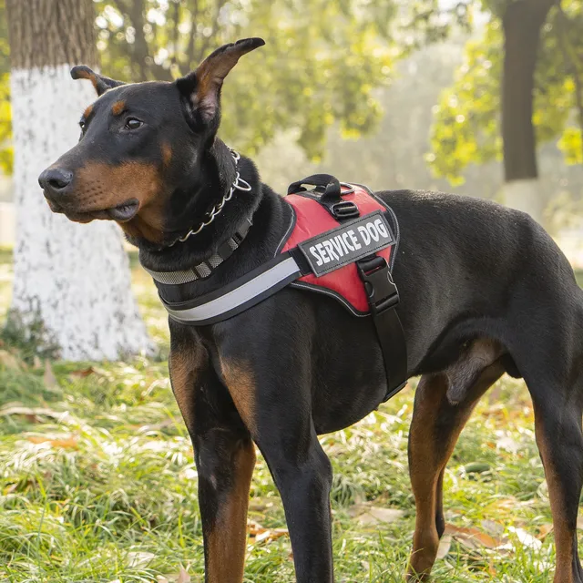 Chest Strap Dog Vest Harness Medium and Large Dog Border Collie Golden Hair Bucket Explosion proof Flushing Dog Harness 2