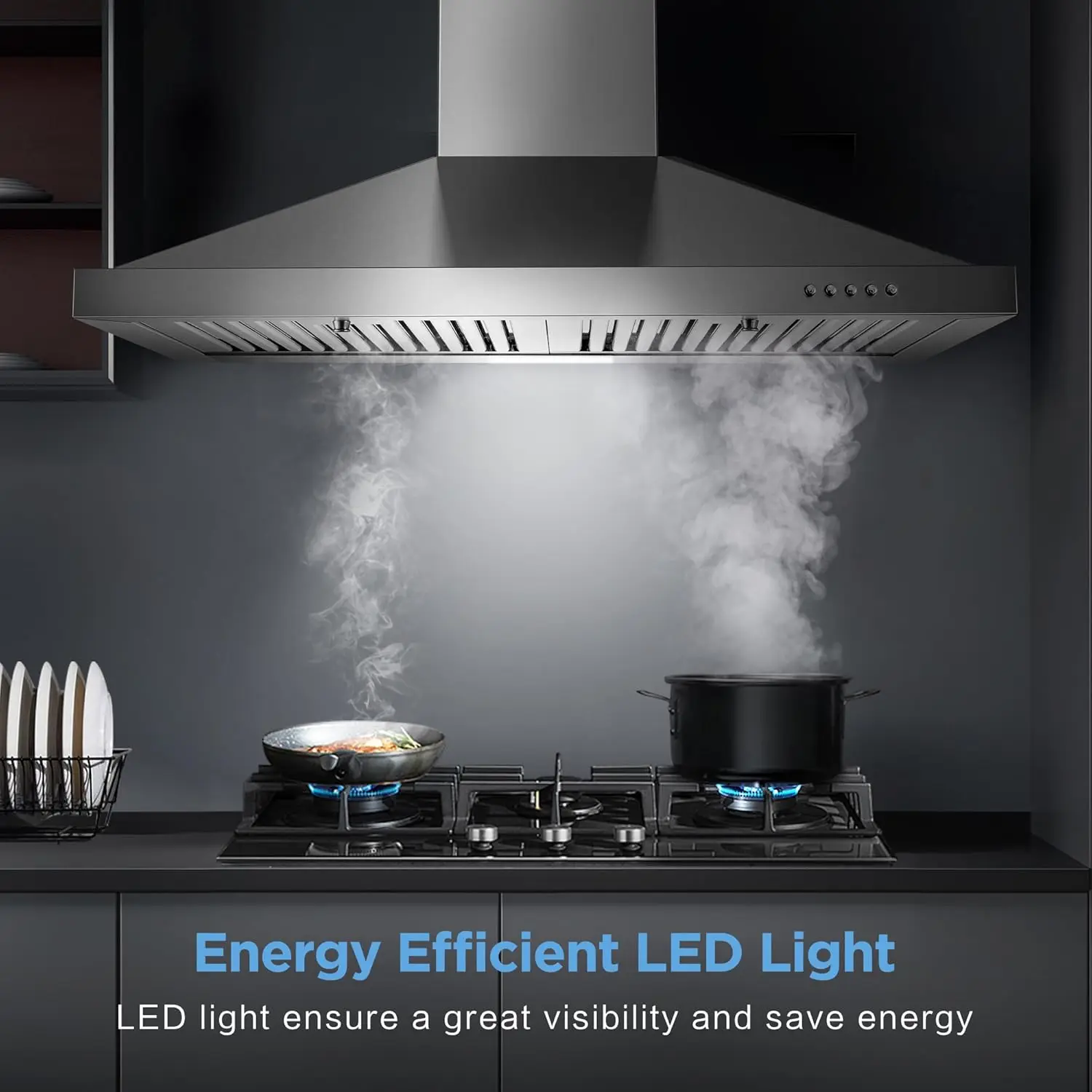24 Inch Range Hood, Wall Mount Vent Hood in Stainless Steel with Ducted/Ductless Convertible Duct, 3 Speed Exhaust Fan, Energy