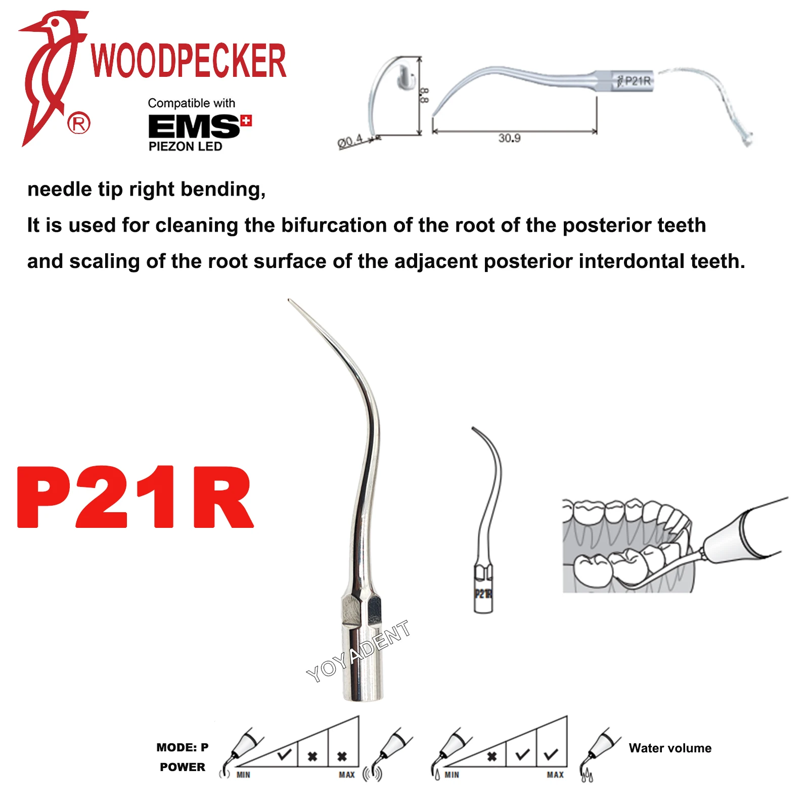P21R