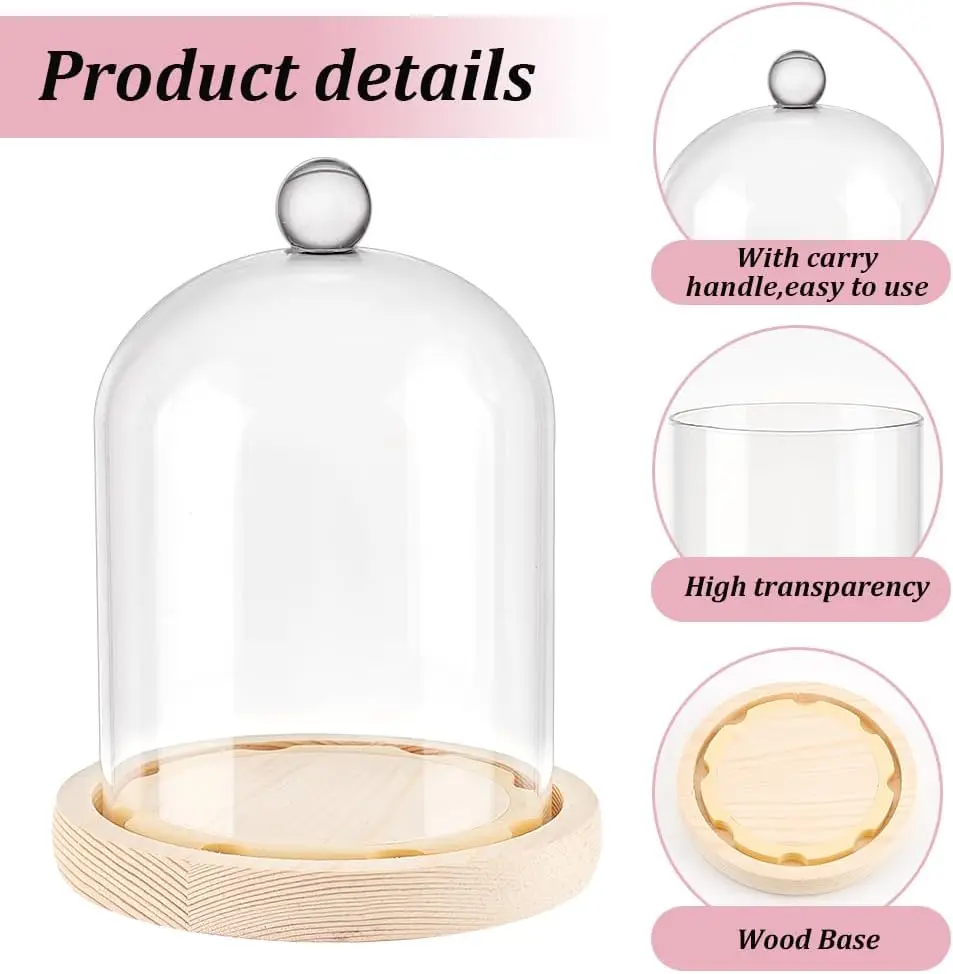 1 pc Cloche Glass Dome Clear Glass Display Dome with Top Handle for Plants