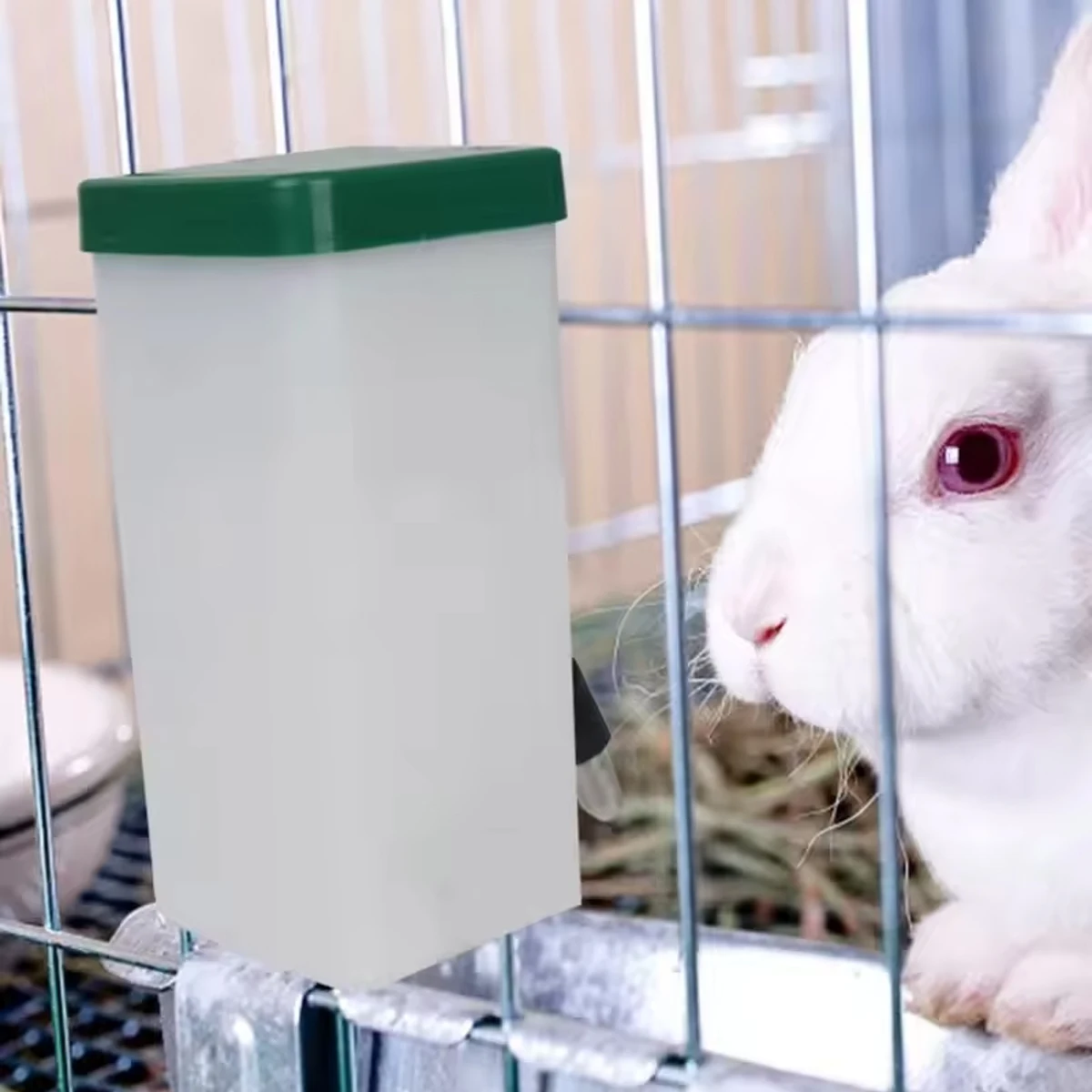 Rabbit Drinking Water Bottle for Guinea pig