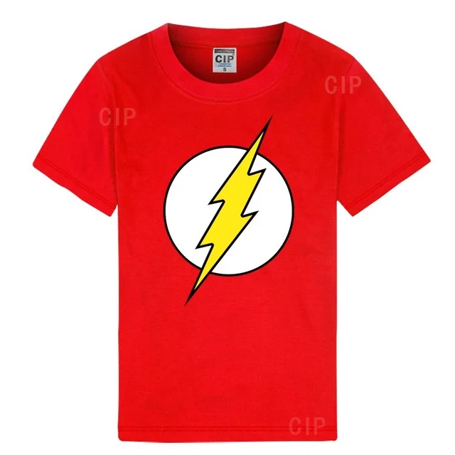 Superhero the Flash T Shirt The Big 