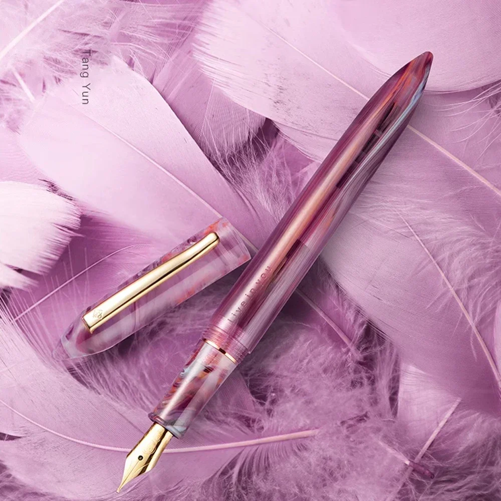 New RIIMOO LY530 Acrylic Fountain Pen Calligraphy Practice Exquisite Back To School Gift for Students Iridium EF F Nib Supplies 6