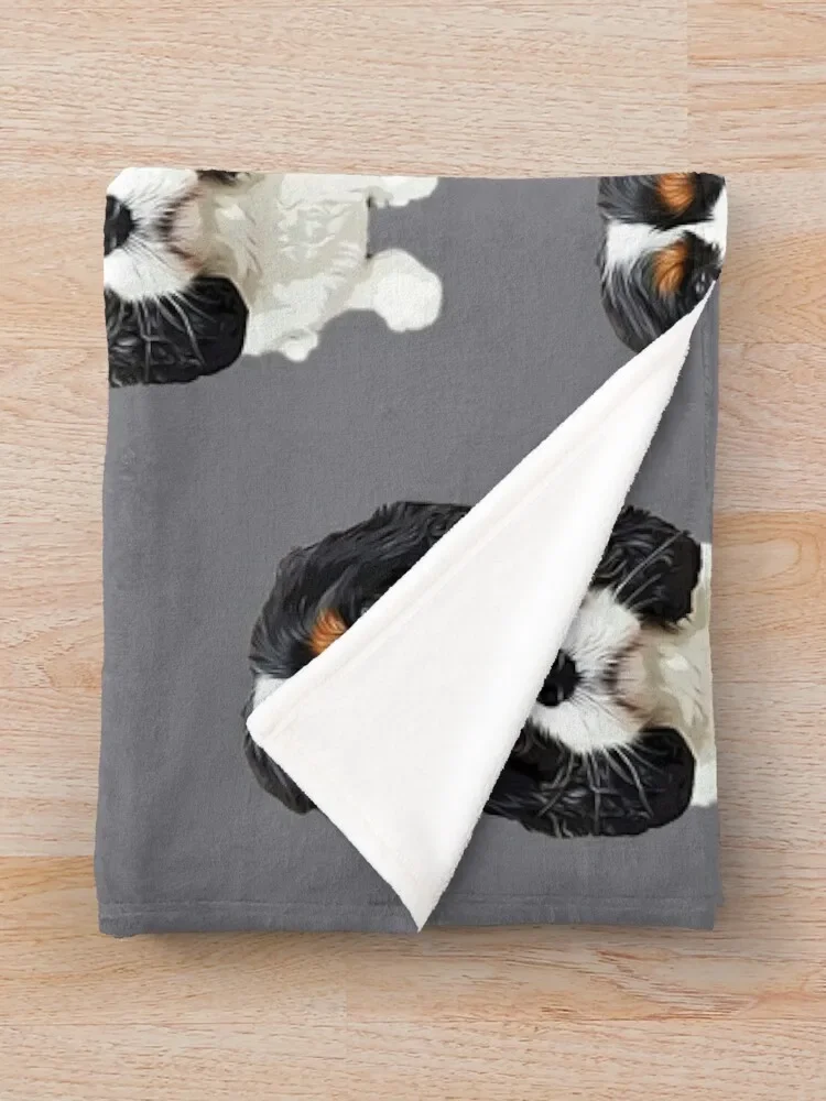 ī�߸��� ŷ ���� ���дϾ� Ʈ���� ���ο� ���, ���� ���� ���, ���� ��� ���