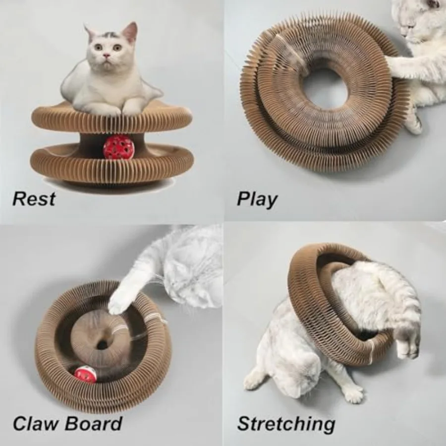 buy cats accessories