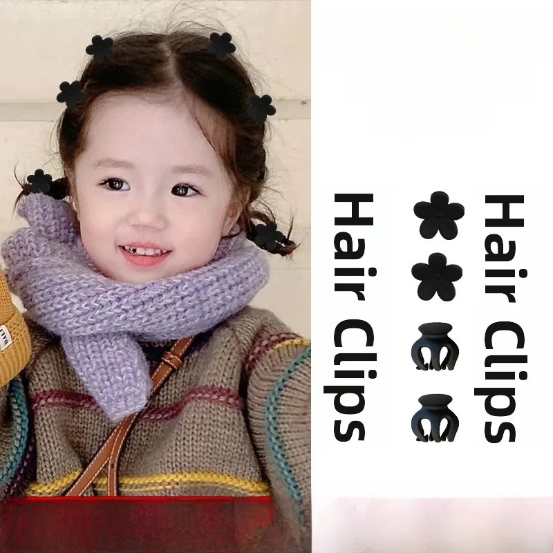 Pumpkin + 12 flowers