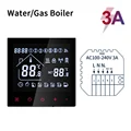 Water Gas Boiler