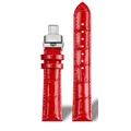 A Red-silver