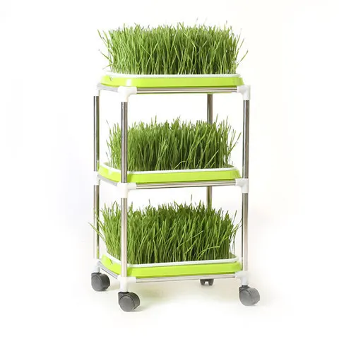 

Seedling Tray, Sprouts, Vegetable Balconies, Vegetable Pots, Hydroponic Vegetables, Bean Sprouts, Soilless Cultivation, Wheat An