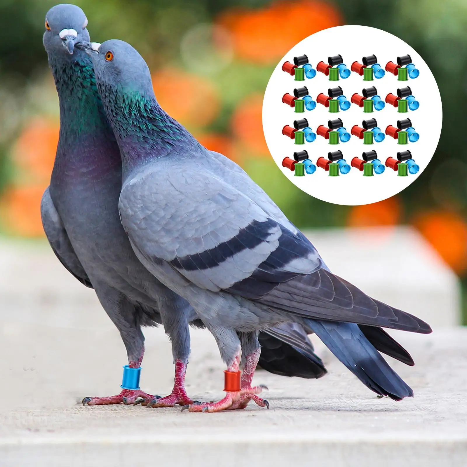 100Pcs Pigeon Foot Ring Aluminum Bird Leg Band Chicken Identifier Poultry Marker Homing Racing Pigeon Supplies Pet Products