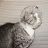Breathable Ball-shaped Cat Head Cover Sturdy Anti-bite Kitten Protective Helmet Pet Grooming Space Hood Muzzle Mask 2