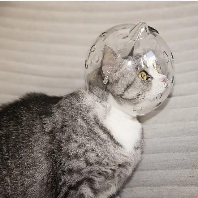 Breathable Ball-shaped Cat Head Cover Sturdy Anti-bite Kitten Protective Helmet Pet Grooming Space Hood Muzzle Mask 2