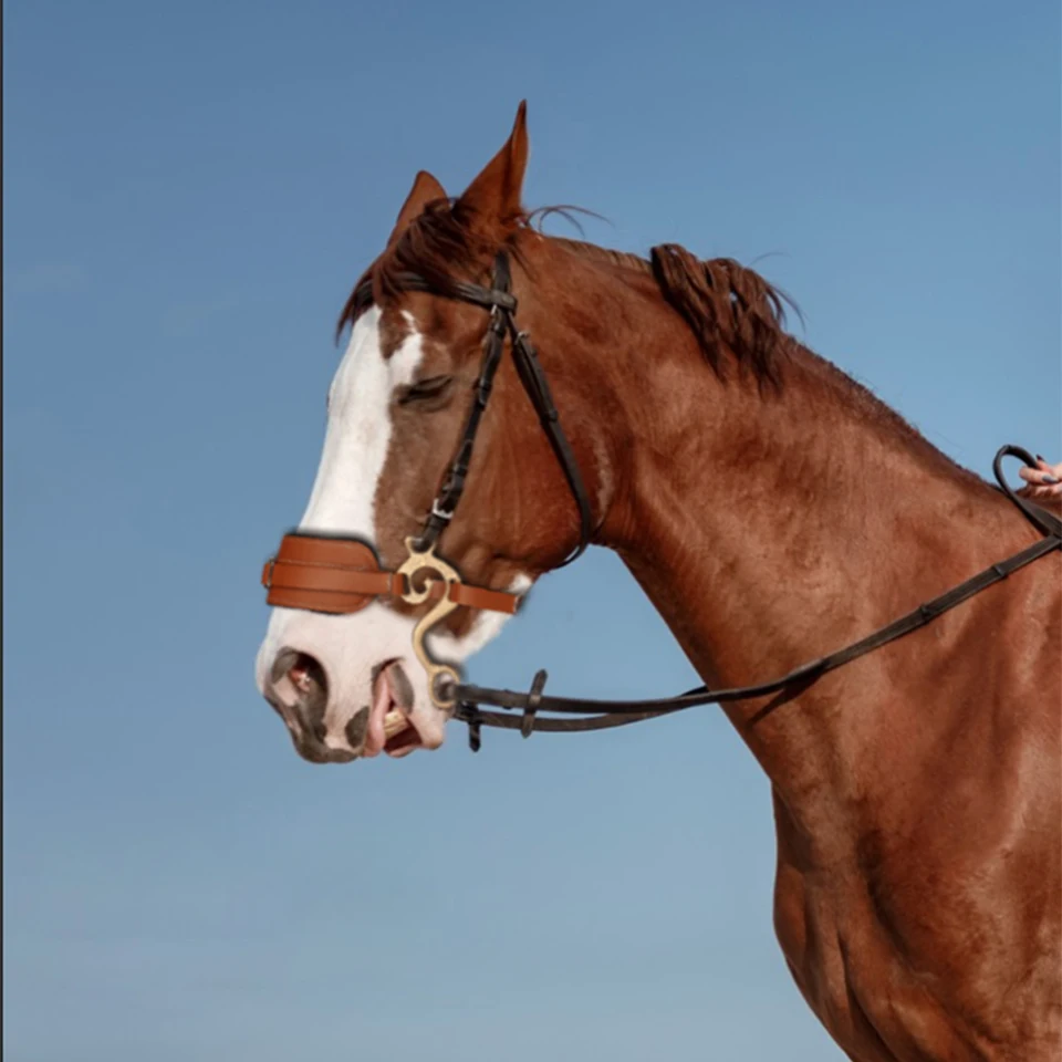 Mors Hackamore à Muserolle Cuir Matelassée, METALAB
