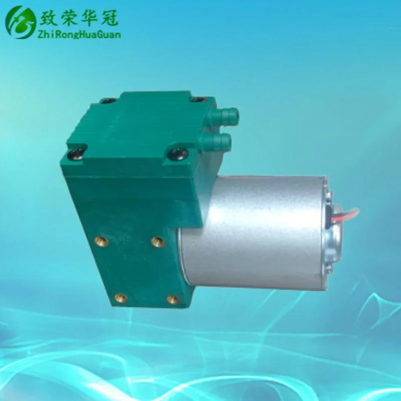 소형 진공 펌프, DC12V, AC110V, 소형 펌프, DC24V, 팽창 펌프, AC220V, 미용 기기