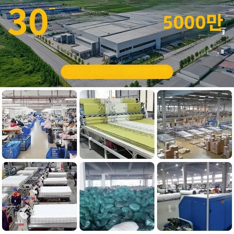 호텔 베개 세트 목 지지 높이 베개 인스 홈스테이 처짐 방지 홈 기숙사 베개 코어 편안한 여행용품