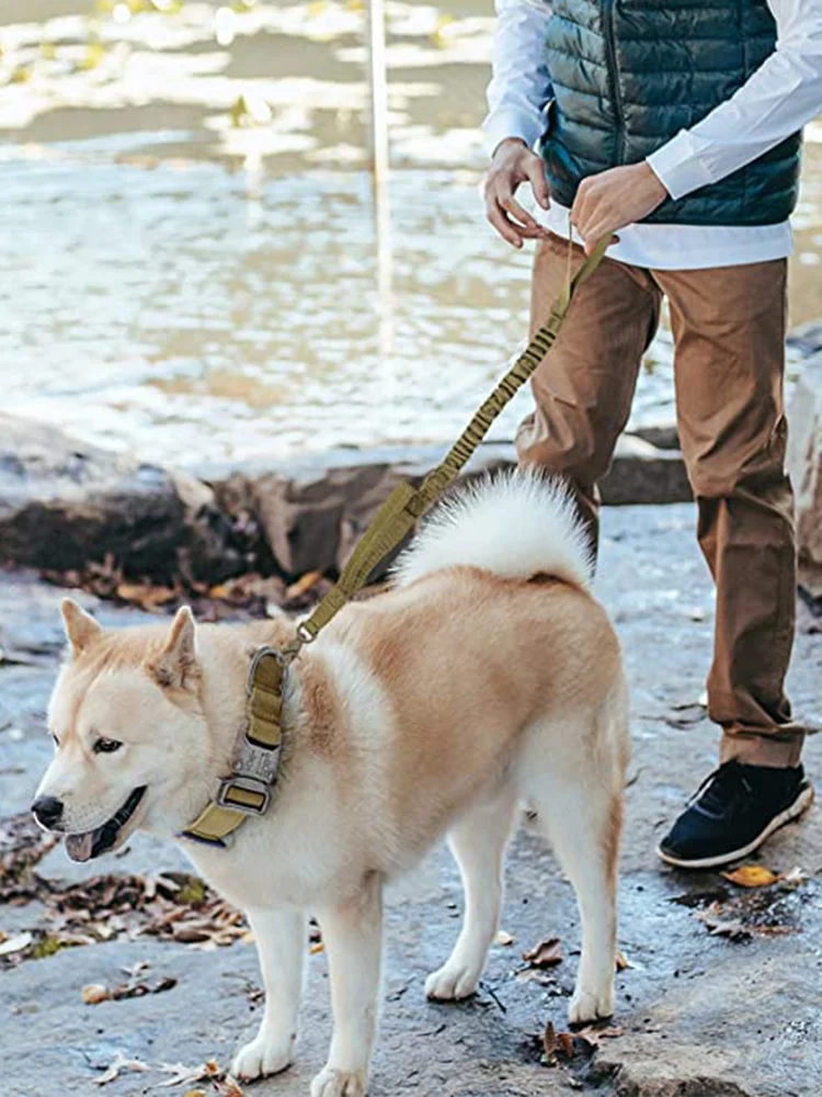 S813ce664a8314deba946f5a8714081a92