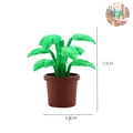 Potted Plants