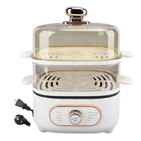 2 Tier Electric Steam Pot 1200W 10.5L Stackable Multipurpose Cooker Electric Hot Pot with Steaming Plate for Soup Noodles Oatmea 1