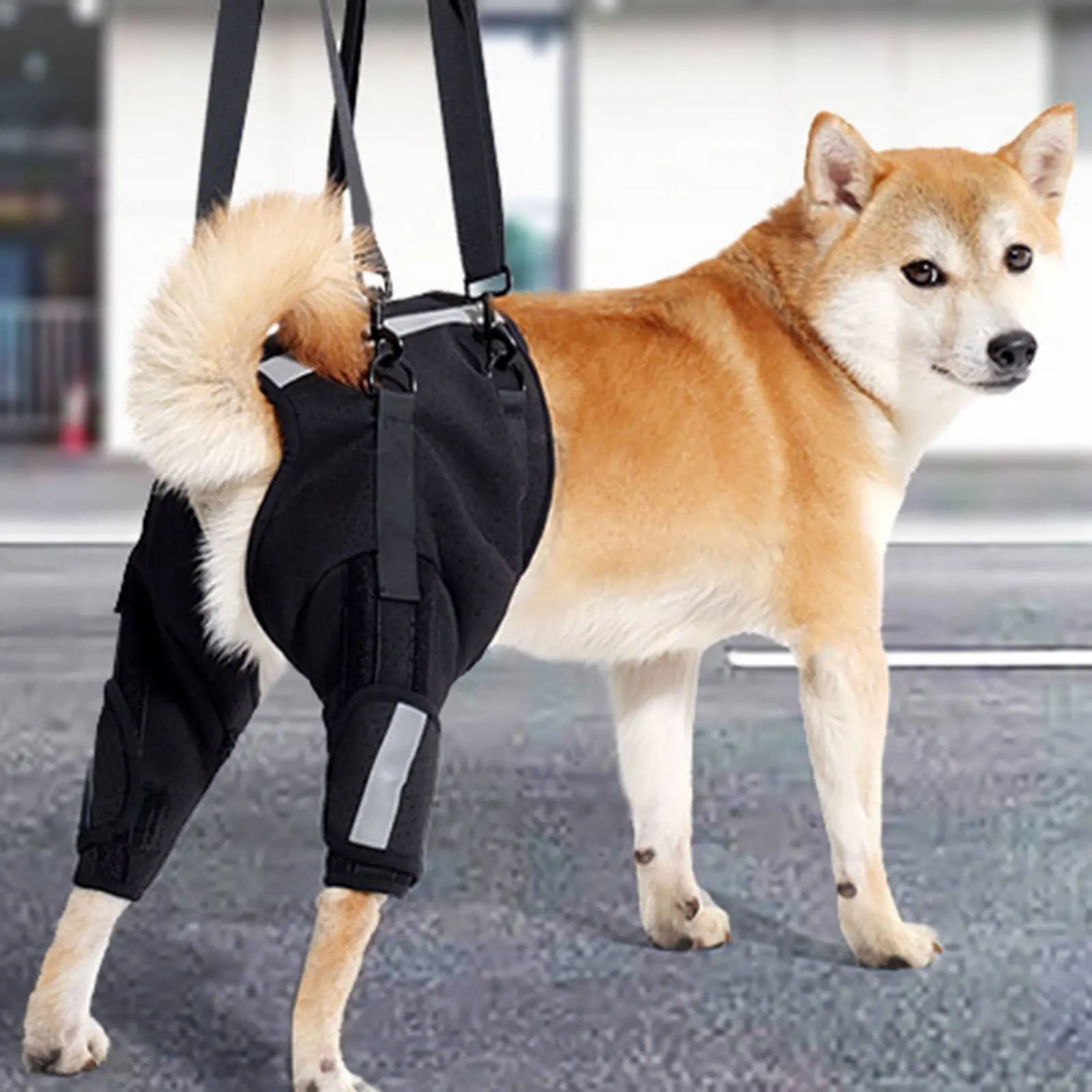 강아지 재활 보조 스트랩 통기성 강아지 힙 리프트 하네스 뒷다리 지지 하네스 ..